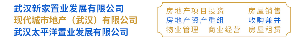 武汉新家置业发展有限公司